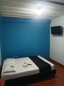 a bed in a room with a blue wall at Hotel Pablo's in Tumaco
