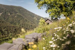a row of seats in a field with a mountain at Alpinhotel Vajolet - Adults only in Tires +48 photos