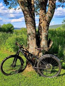 a bike is parked next to a tree at Kjølen Hotel Trysil in Trysil