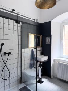 a bathroom with a shower and a toilet and a sink at Sowa Loft in Zagórze Śląskie