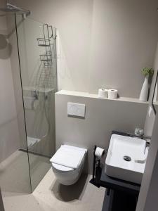a bathroom with a shower and a toilet and a sink at Apartments Rombon in Bovec +33 photos