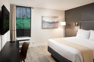 a hotel room with a bed and a window at Hotel Arlington in Arlington