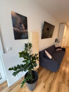 a living room with a couch and a plant at Spatzennest am Bodensee in Bermatingen