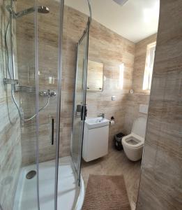 a bathroom with a shower and a toilet at Countryside Apartments 252 in Poříčí nad Sázavou +16 photos