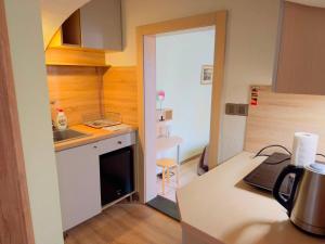 a small kitchen with a sink and a stove at Apartmány 149 u náměstí in Český Krumlov