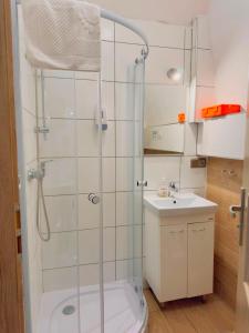 a bathroom with a shower and a sink at Apartmány 149 u náměstí in Český Krumlov