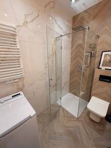 a bathroom with a shower and a toilet at Apartament 15 in Lębork +23 photos