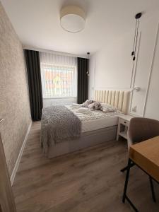 a bedroom with a bed and a window at Apartament 15 in Lębork