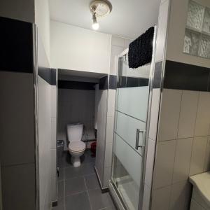 a small bathroom with a toilet and a glass door at Appartement centre ville in Ajaccio