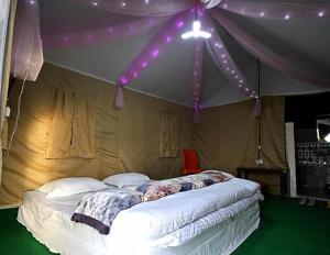 a bed in a tent with purple lights on it at Camping in Chail in Chail