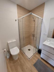 a bathroom with a shower and a toilet and a sink at Casa MENDEZ - ALLARIZ in Ourense +13 photos