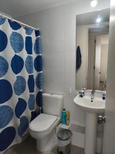 a bathroom with a toilet and a sink at Departamento Temuco in Temuco +1 photo