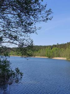 a view of a large body of water at Miskant Apartamenty in Stary Karwno