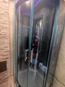 a shower with a glass door in a bathroom at Studio Denisa in Călan