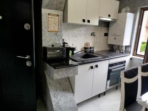 a kitchen with white cabinets and a sink and a stove at Studio Denisa in Călan