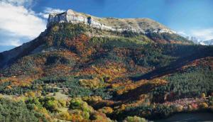 a mountain with autumn leaves on it at Gite de Loche in Quet-en-Beaumont