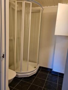 a glass shower in a bathroom with a toilet at Modern Arctic Apartment in Tromsø