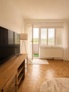 a living room with a television and a large window at Helena City Apartment in Leoben