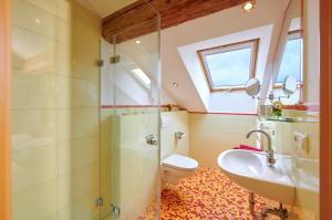 a bathroom with a shower and a toilet and a sink at Gästehaus Lechner in Bernau am Chiemsee +29 photos