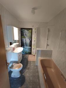 a bathroom with a toilet and a sink and a tub at Guesthouse Pavličić in Drežnik Grad