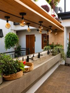 a lobby with baskets of plants and lights at Casa Dreamer Bogotá in Bogotá