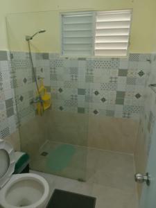 a bathroom with a shower and a toilet and a sink at house on the hill in Nagua +12 photos
