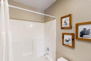 a bathroom with a shower and a sink at Rost Place Round-Up in Sturgis +10 photos