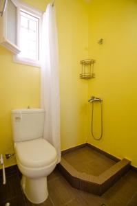 a bathroom with a toilet and a shower with a window at Mylopota Studio I in Mylopotas +28 photos