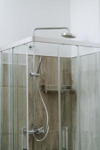 a shower with a glass door and a shower head at Aura Residence in San Biagio