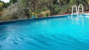 a large swimming pool with blue water and plants at La Fée Du Val - Gite En Ardèche in Rosières
