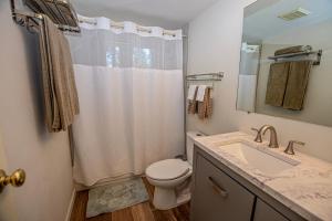 a bathroom with a toilet and a sink and a shower at Hillhouse By Hauserman Rentals in Homewood +28 photos