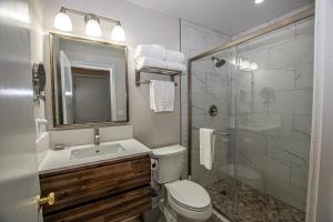 a bathroom with a toilet and a sink and a shower at Holland By Hauserman Rentals in Homewood +34 photos