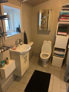 a bathroom with a sink and a toilet and a mirror at Skibbild in Vildbjerg