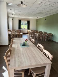 a conference room with a large wooden table and chairs at hotel Manětín in Manětín