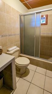 a bathroom with a toilet and a shower at Cien Fuegos Hostel in Salcoatitán