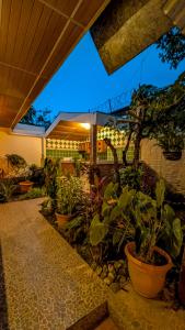 a group of potted plants in front of a building at Cien Fuegos Hostel in Salcoatitán