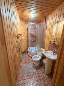 a bathroom with a toilet and a shower and a sink at Садиба у Оксанки in Vorokhta