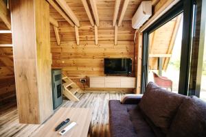 a living room of a tiny house with a couch and a tv at Ujcevina Apartments in Donje Morakovo