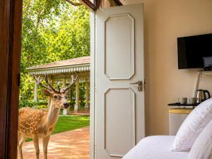 a deer standing outside of a bedroom door at Sorabora Gedara Hotel in Mahiyangana