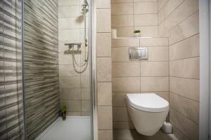 a bathroom with a toilet and a shower at Kerrigan's B&B in Mullingar +22 photos