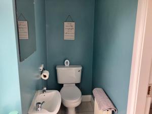 a blue bathroom with a toilet and a sink at Silver Birch House in Laune Bridge +18 photos