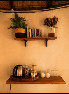 a shelf on a wall with books and coffee cups at The Thatched Hideaway on Stanmore farm in Nottingham Road