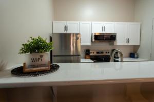 a plant sitting on a counter in a kitchen at The Inn Down Town in Erie
