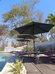 a group of chairs and an umbrella next to a pool at Baliyana Lodge in San José Pinilla