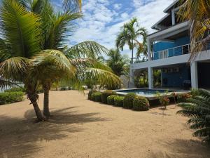 a house with a palm tree and a swimming pool at Grand Sunset Decks Luxury Home on the Lagoon in Maya Beach