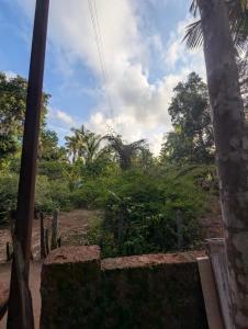 a view of a field with trees and bushes at Hindlekar home stay in Malvan
