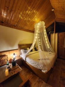 a bedroom with a canopy bed with lights on it at Hotter Potter Stays Manali in Vashisht