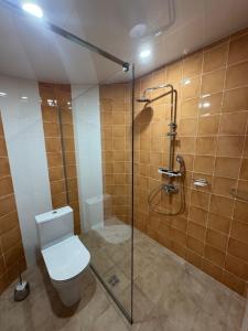 a bathroom with a toilet and a shower at Тихий дворик in Odesa