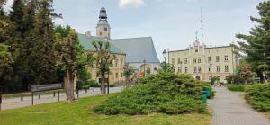 a large building with a christmas tree in a park at Apartament Międzylesie in Międzylesie