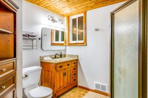 a bathroom with a toilet and a sink and a mirror at Alderbrook A-Frame in Union +18 photos